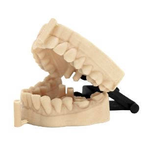 Makenica 3D Printing Services - Material 3D Printed Parts - DENTAL RESIN SLA 3D Printing Makenica 3D Printing Services - Material 3D Printed Parts - DENTAL RESIN SLA 3D Printing